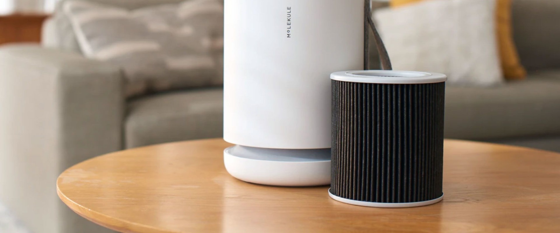 Is an Air Purifier Worth the Investment?