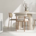 Which Air Purifier is the Best for You?