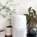 Are Air Purifiers Really Worth It?
