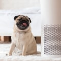 Best Air Filter for Improved Indoor Air