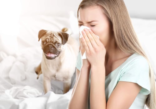 Why MERV 8 HVAC Air Filters Are The Best Option for Pet Owners and Allergy Sufferers