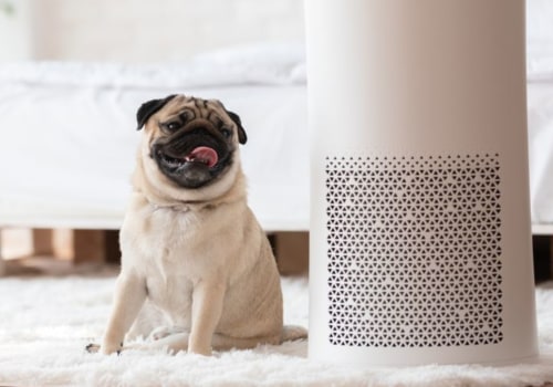 Best Air Filter for Improved Indoor Air